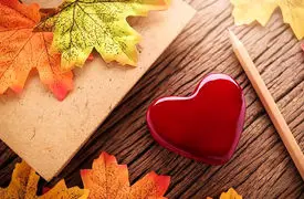 فیلم / عاشقی نامتعارف همسر مدیرعامل سرشناس به یک آقای بازیگر / اشتباهی که بخیر گذشت