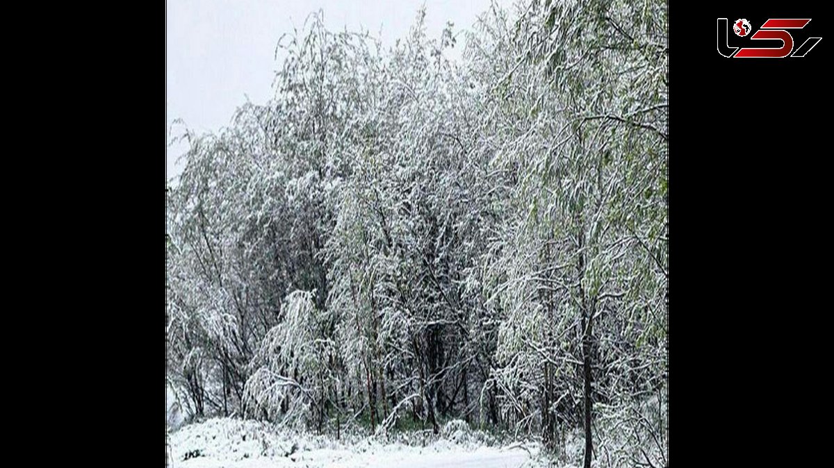 بارش برف سیاه و نگرانی شهروندان قزاقستانی