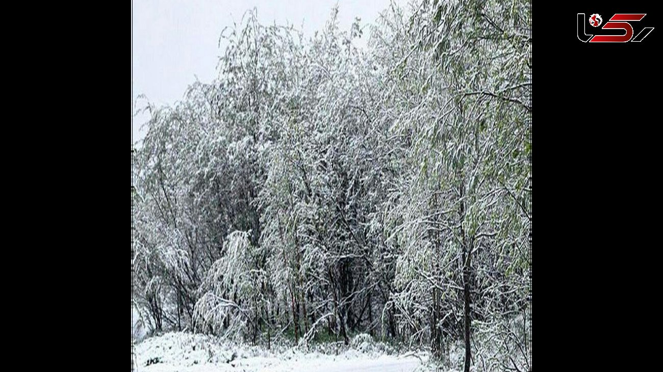 بارش برف سیاه و نگرانی شهروندان قزاقستانی