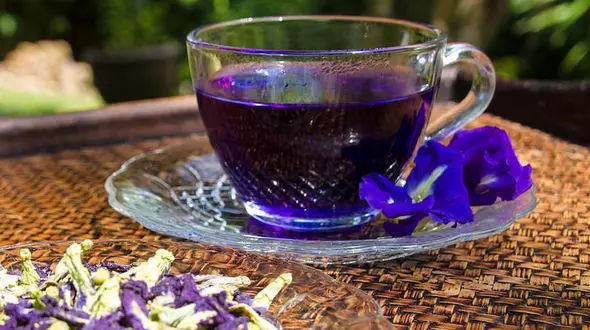 دمنوش گل گاو زبان تا 50 درصد می تواند بر بهبود اعصاب و روان تاثیرگذار باشد