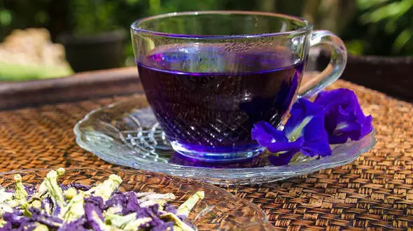 دمنوش گل گاو زبان تا 50 درصد می تواند بر بهبود اعصاب و روان تاثیرگذار باشد