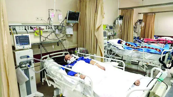 گفتگو با بهناز و مسعود 2 تن از مسموم شدگان قارچ های سمی / همه ساله همین قارچ ها را می خوردیم + عکس