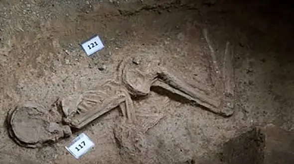   کشف اسکلت 3هزار ساله در ظهیر الاسلام تهران+عکس