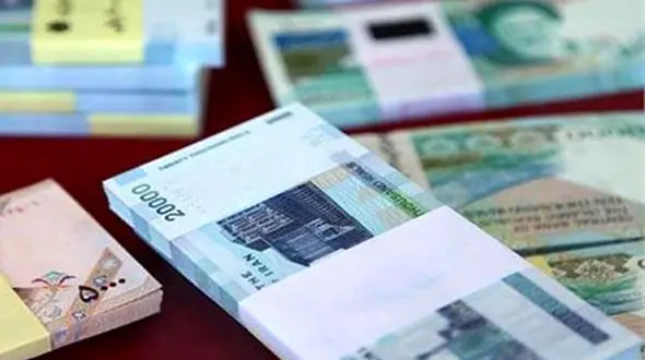 تسهیلات برای کارآفرینان روستایی