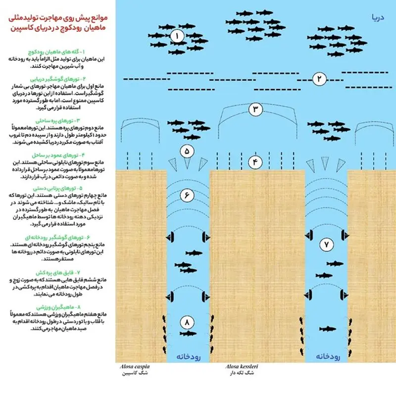 موانع پیش روی مهاجرت تولید مثل ماهیان رودکوچ در دریای خزر