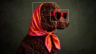 هوش مصنوعی تصویرساز Reve 2.0 معرفی شد + فیلم