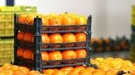 پرتقال‌های سمی در ایران؛ حقیقت یا شایعه؟