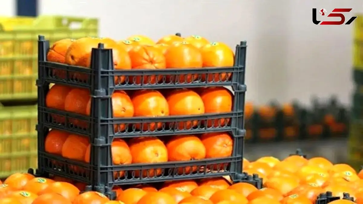 پرتقال‌های سمی در ایران؛ حقیقت یا شایعه؟