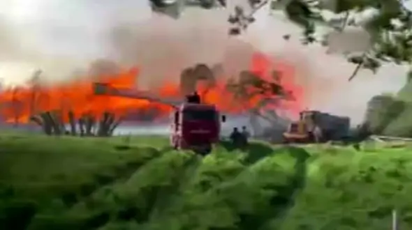 نیروگاه بیوانرژی ترکیه در آتش سوخت + فیلم 