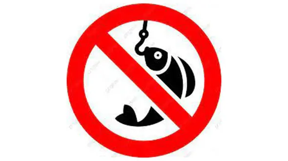 واکنش اداره حفاظت محیط زیست به اظهارات مدیر جهاد کشاورزی هشترود / هیچ مجوزی برای صید و شکار از سوی این سازمان صادر نشده است  