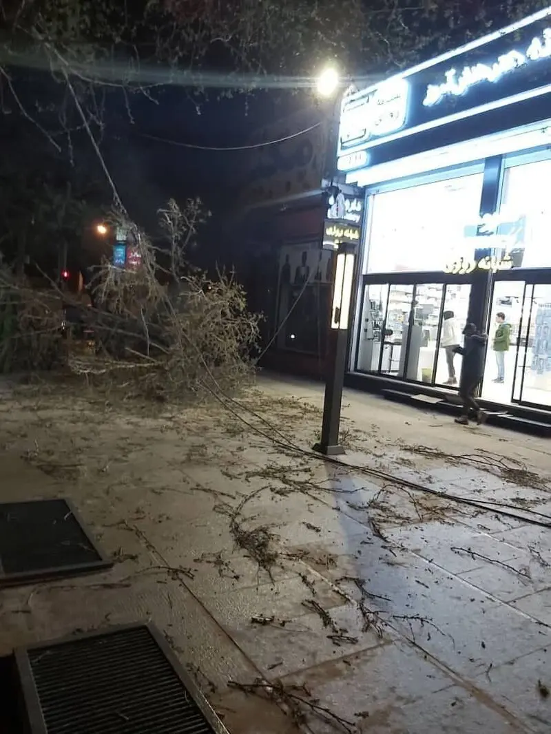  وزش باد شدید در شیراز 