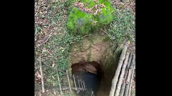 فیلم /  گنج در اطراف لاهیجان ؟! / حمله جویندگان گنج به این منطقه !