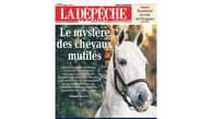تیتر یک روزنامه فرانسوی /"لا دپش" (LA DÉPÊCHE) / راز اسب های مثله شده"