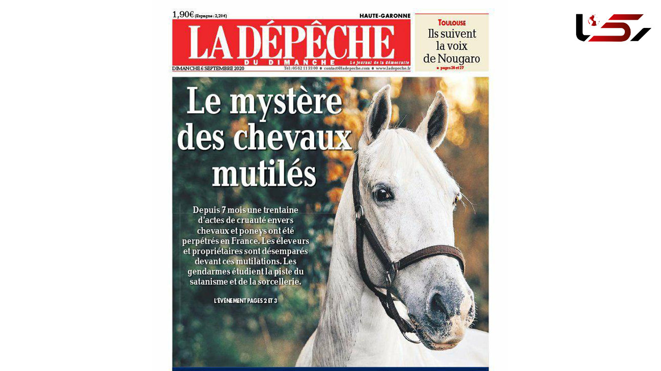تیتر یک روزنامه فرانسوی /"لا دپش" (LA DÉPÊCHE) / راز اسب های مثله شده"