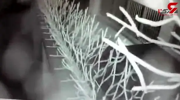 تصاویر ضبط شده از زلزله بروجرد توسط دوربین مداربسته + فیلم