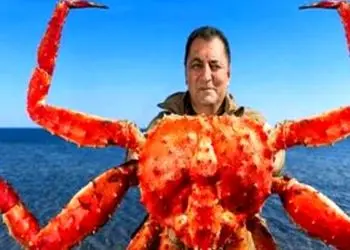 خلاقیت تحسین برانگیز و خنده دار اوستا آشپز هرمزگانی در تزئین بشقاب خرچنگ ویژه مهمانان نوروزی حماسه آفرید