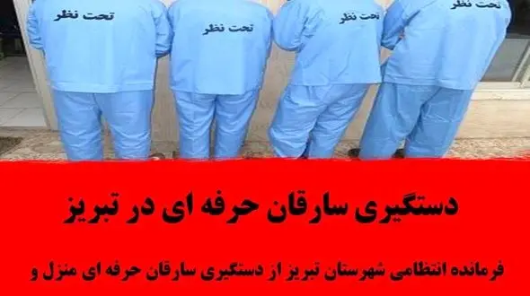 دستگیری سارقان حرفه ای در تبریز