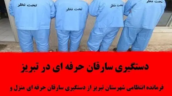 دستگیری سارقان حرفه ای در تبریز
