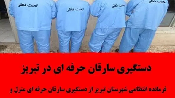 دستگیری سارقان حرفه ای در تبریز