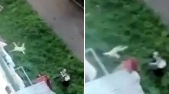 فیلم سقوط نوزاد یکساله از طبقه پنجم  +فیلم