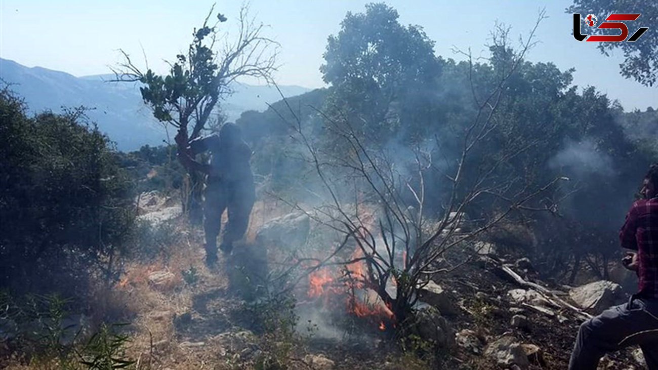 آتش سوزی در مراتع جاده کرج - چالوس