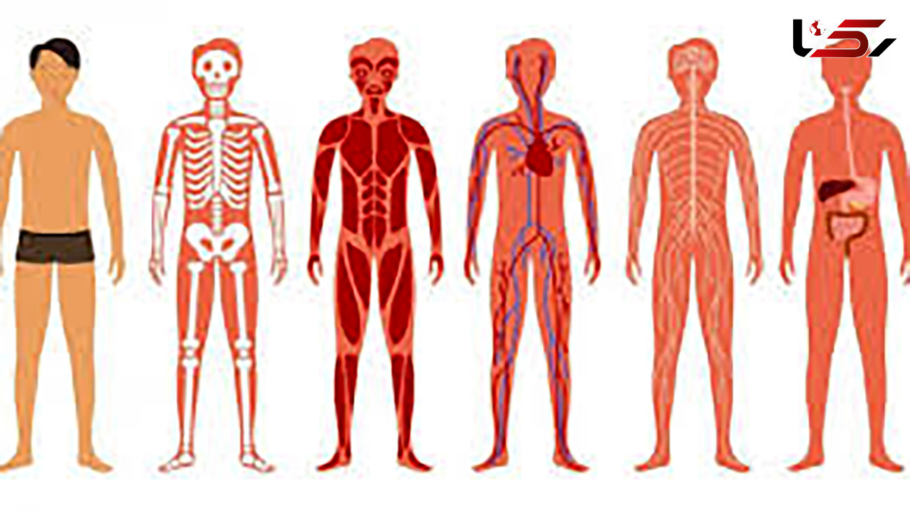 بدن انسان هم "گوگل مپس" دار می شود !