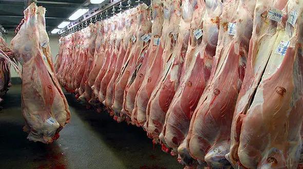 صف گوشت باز می گردد؟