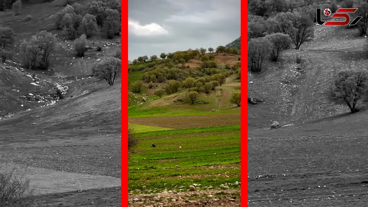 فیلم جاده رویایی آبشار کبوترلو با نوای کمانچه