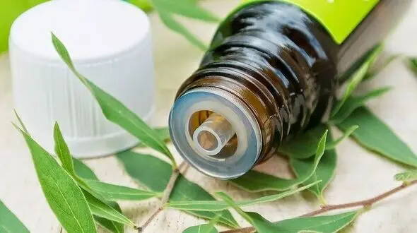 جوانسازی پوست با روغن درخت چای