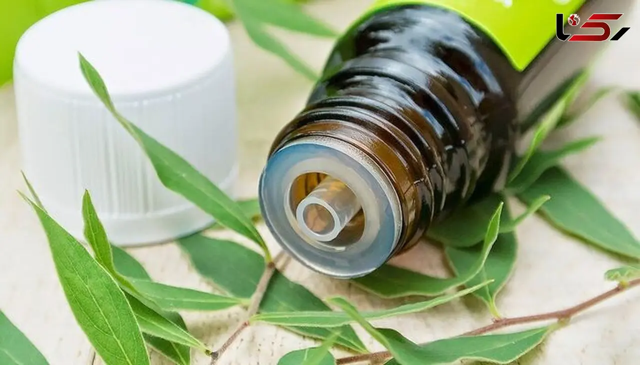 جوانسازی پوست با روغن درخت چای