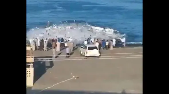 دو کشته در حمله ماهی ها به صیادان در امارات! + فیلم