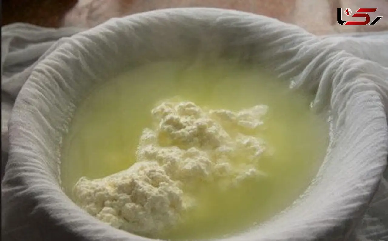 روسیه مشتری آب پنیر ایران