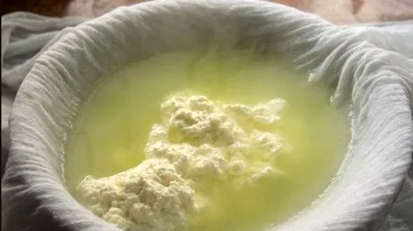 روسیه مشتری آب پنیر ایران