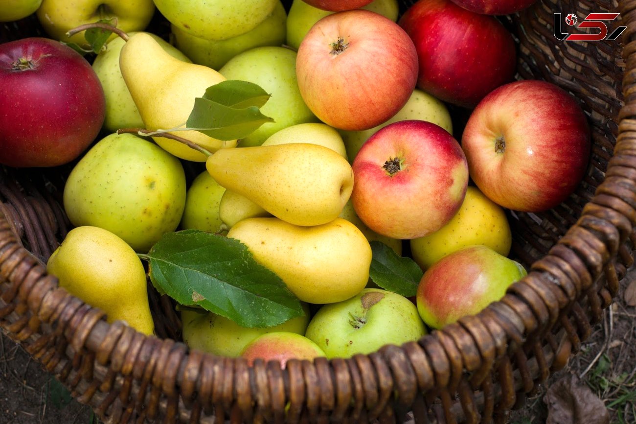 بیماران دیابتی این دو میوه را در سبد غذایی شان قرار دهند