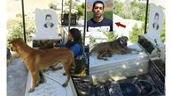 صحنه ای باورنکردنی در قبرستان کرج / قدر شناسی سگ ها از حامی حیوانات بعد از مرگش + عکس