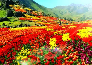 فال ابجد امروز 17 خرداد 1405