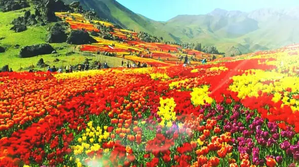 فال ابجد امروز 17 خرداد 1405