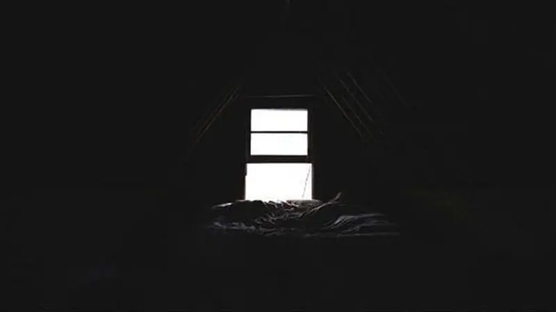 8866550_390