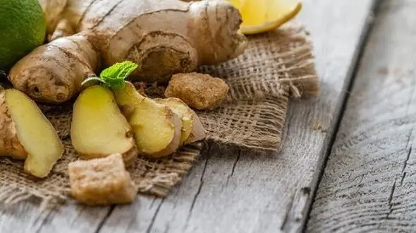 لاغرها هرگز این گیاه را نخورند