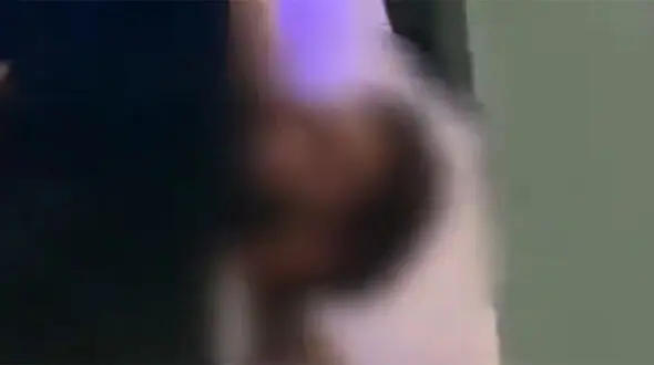 ببینید / دستگیری فرد مدعی به بمب گذاری در کنسرت داریوش اقبالی + فیلم