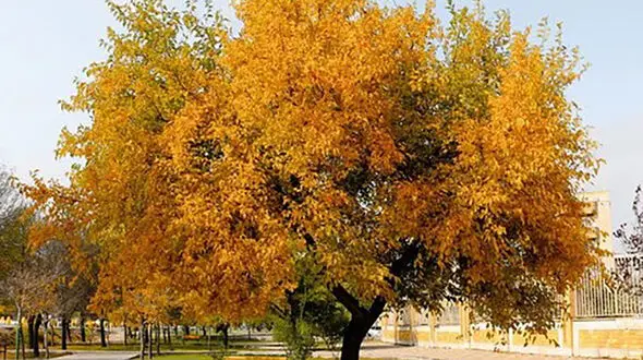 9 عکس شگفت انگیز از پاییز در استان اردبیل