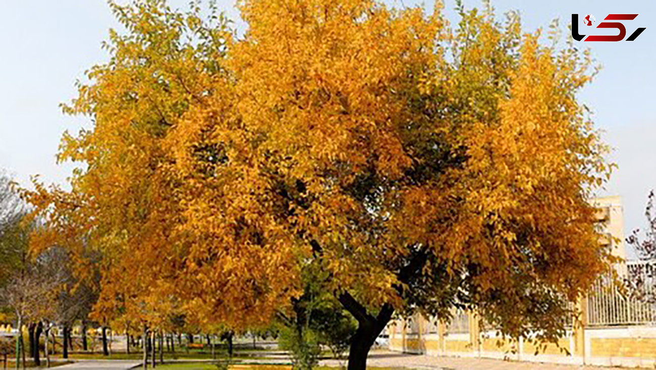 9 عکس شگفت انگیز از پاییز در استان اردبیل