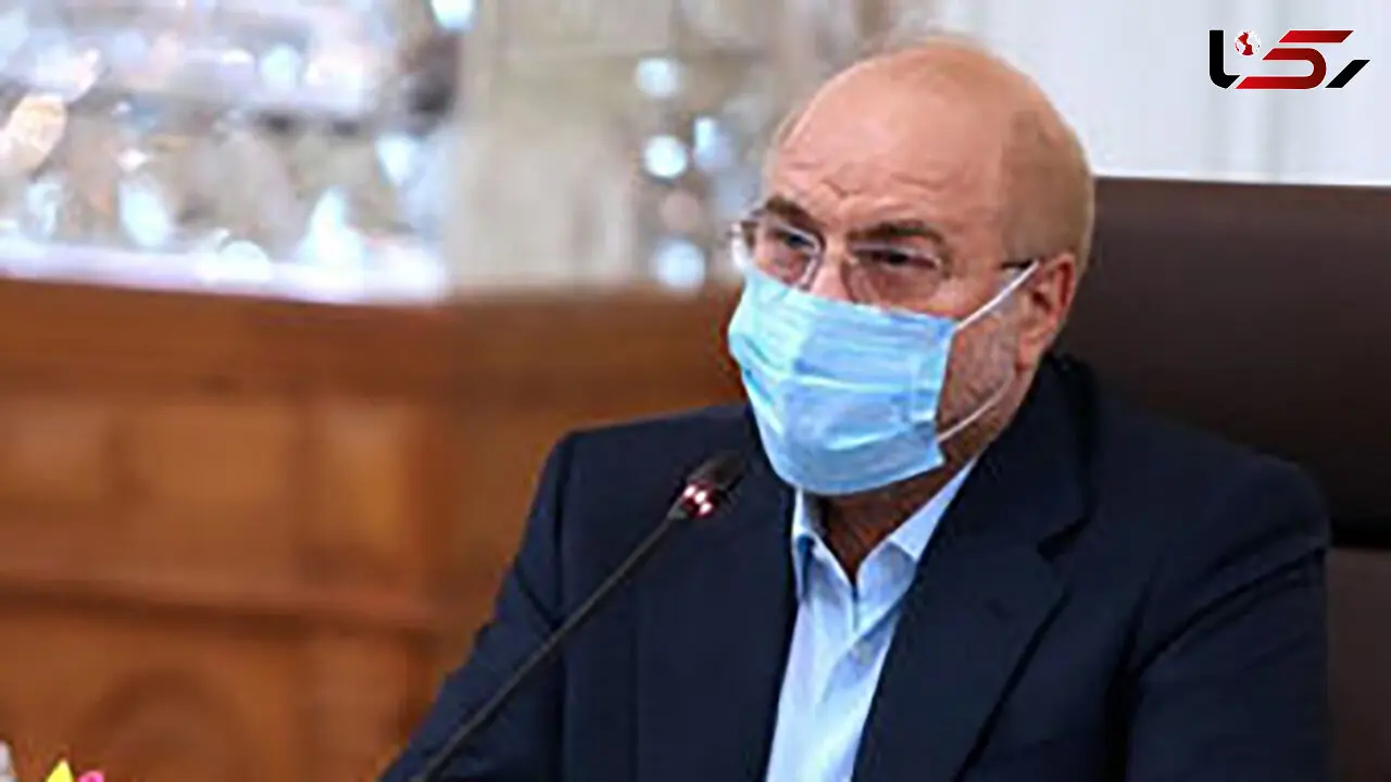 قالیباف: مرغ باید کیلویی 10هزار تومان باشد نه 25 هزار تومن