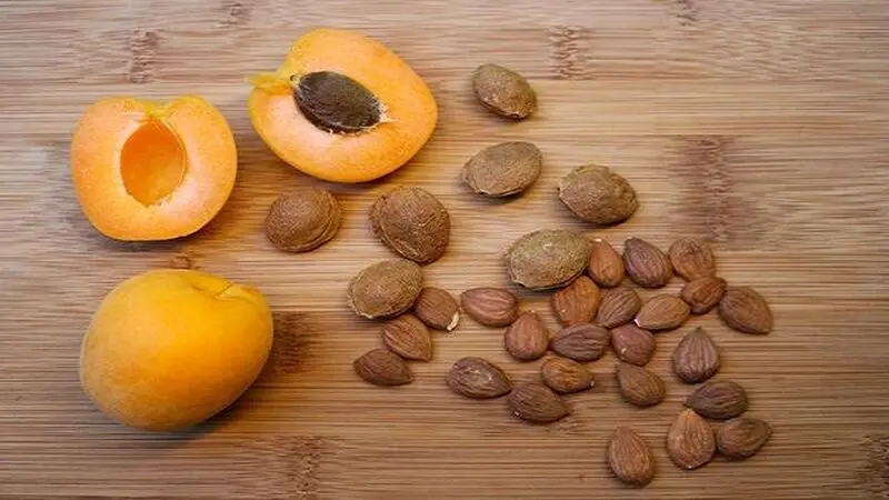 سیانور در هسته آلود