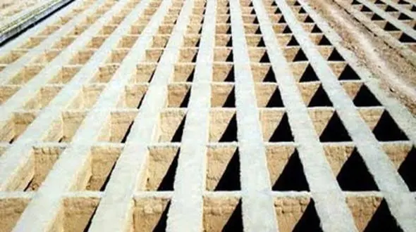 بهشت زهرا جولانگاه سارقان حرفه ای !