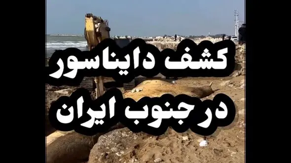 فیلم کشف دایناسور در جنوب ایران ! / تاریخ کلا عوض شد !