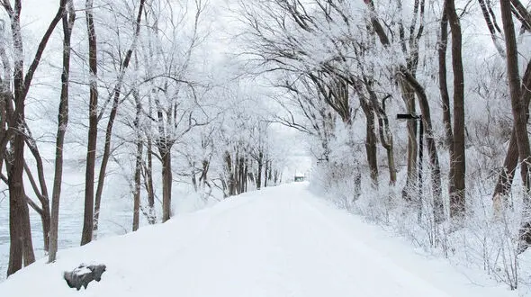 نماهنگ برف با صدای بابک جهانبخش و تصاویر زیبای برفی + فیلم 