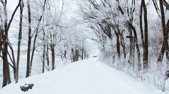 نماهنگ برف با صدای بابک جهانبخش و تصاویر زیبای برفی + فیلم 