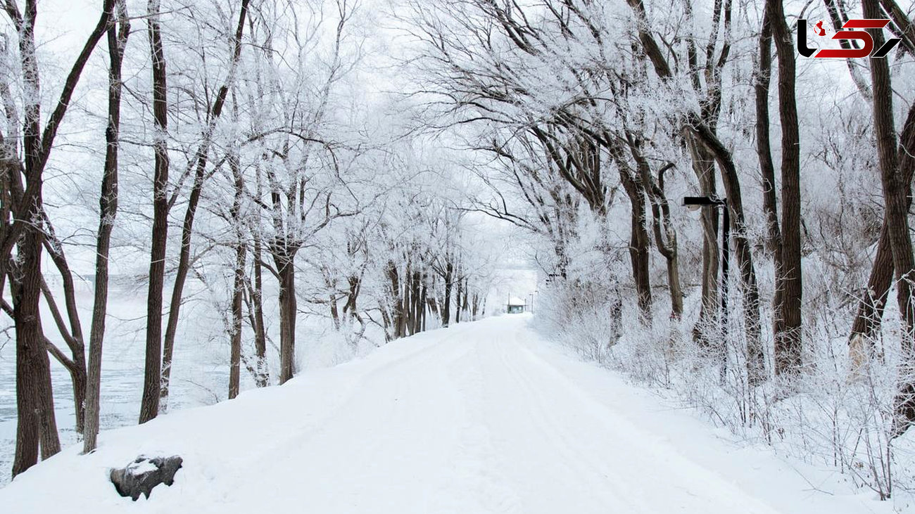 نماهنگ برف با صدای بابک جهانبخش و تصاویر زیبای برفی + فیلم 