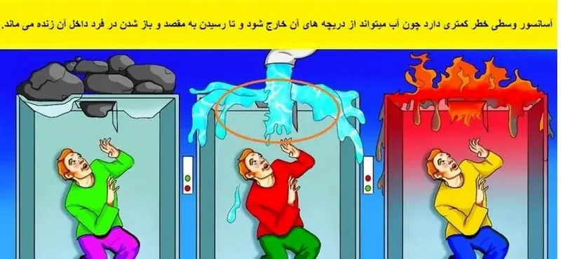 زنده ماندن کدام؟